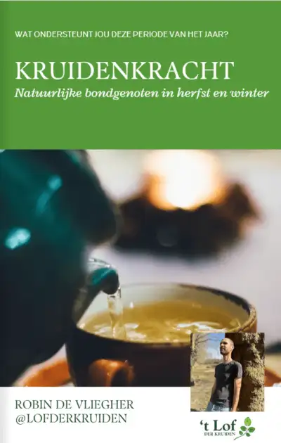 Puissance des herbes : alliés naturels en automne et hiver Puissance des herbes : alliés naturels en automne et hiver